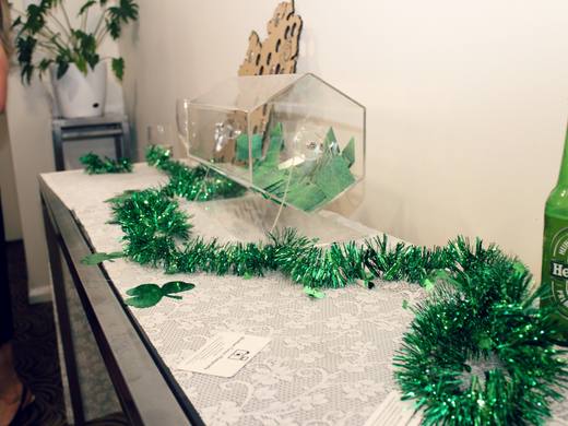 Geelong Irish Society St Patrick's Day cocktail party, 2017